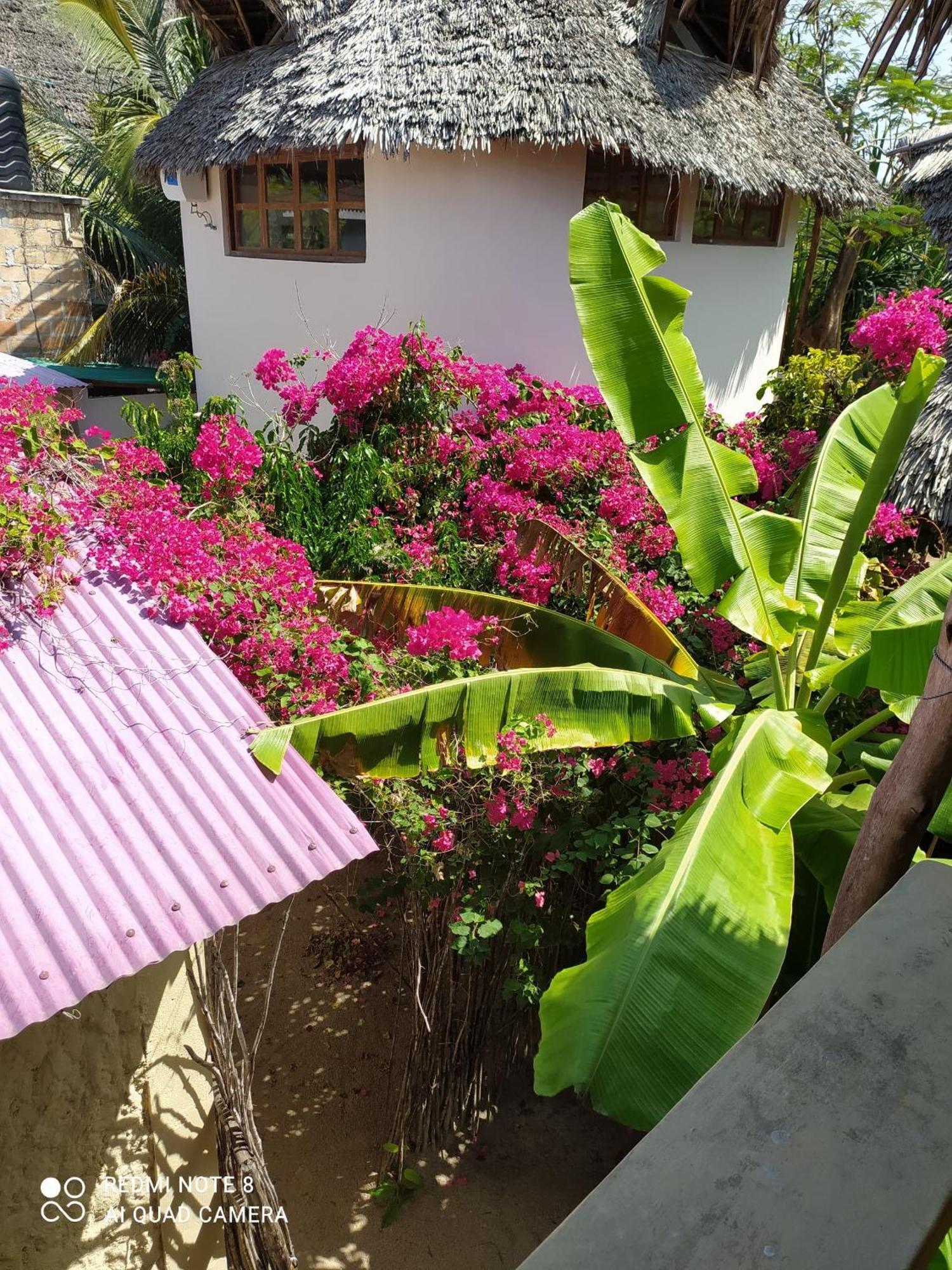 Uhuru Art House Bed and breakfast *